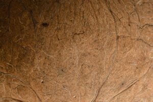 10 Best Hard Surface Cleaners for 2026
