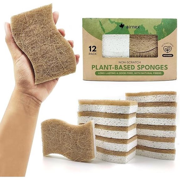 Biodegradable Natural Kitchen Sponge (12 Pack)