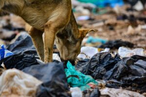 How Cleaner Formulas Adapt to Different Messes