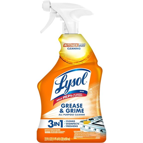 Lysol Pro Kitchen Spray Cleaner – Citrus 22oz