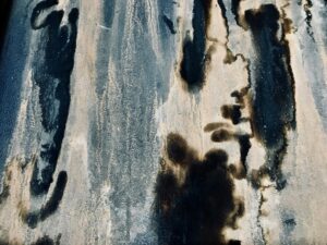 How Modern Cleaners Handle Mold and Mildew