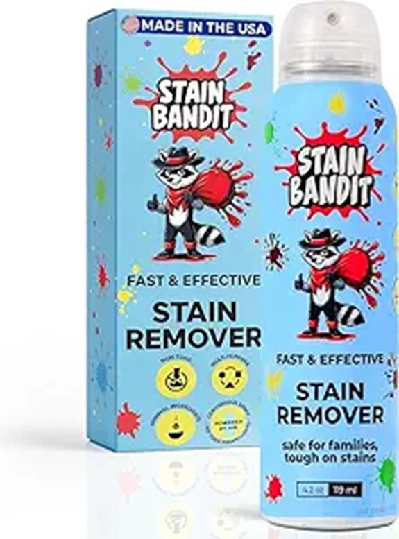Stain Remover Spray – Non-Toxic 4.2 oz Continuous Spray