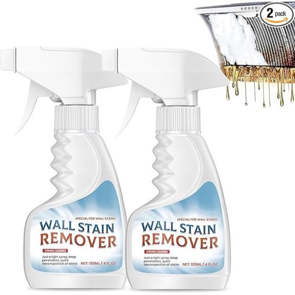 Professional Painted Wall Cleaner Spray (2-Pack)