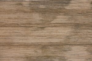 Removing Stains From Shared Furniture