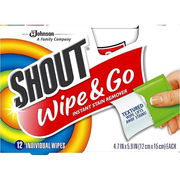 Shout Stain Remover Wipes 12-count Cartridge