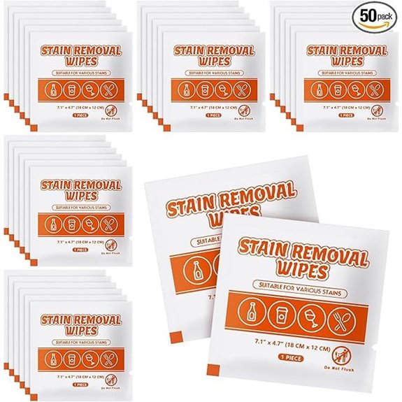 Stain Remover Wet Wipes – Pocket-Size (50)
