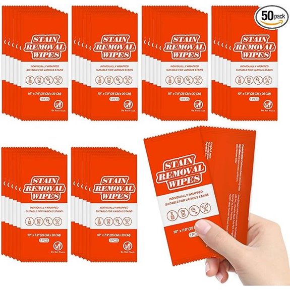 Stain Remover Wet Wipes (50) — Portable Pocket Size