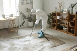 15 Best Carpet Stain Removers for 2026