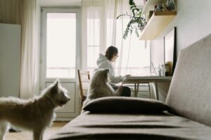 10 Best Stain Removers for Pets in 2026