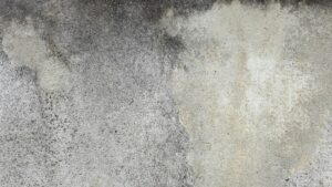 7 Best Stain Removers for Grime Buildup in 2026